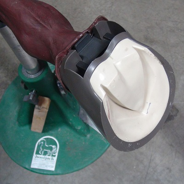 Diamond Hoof Capsule WellShod