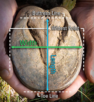 Stand by, images coming soon