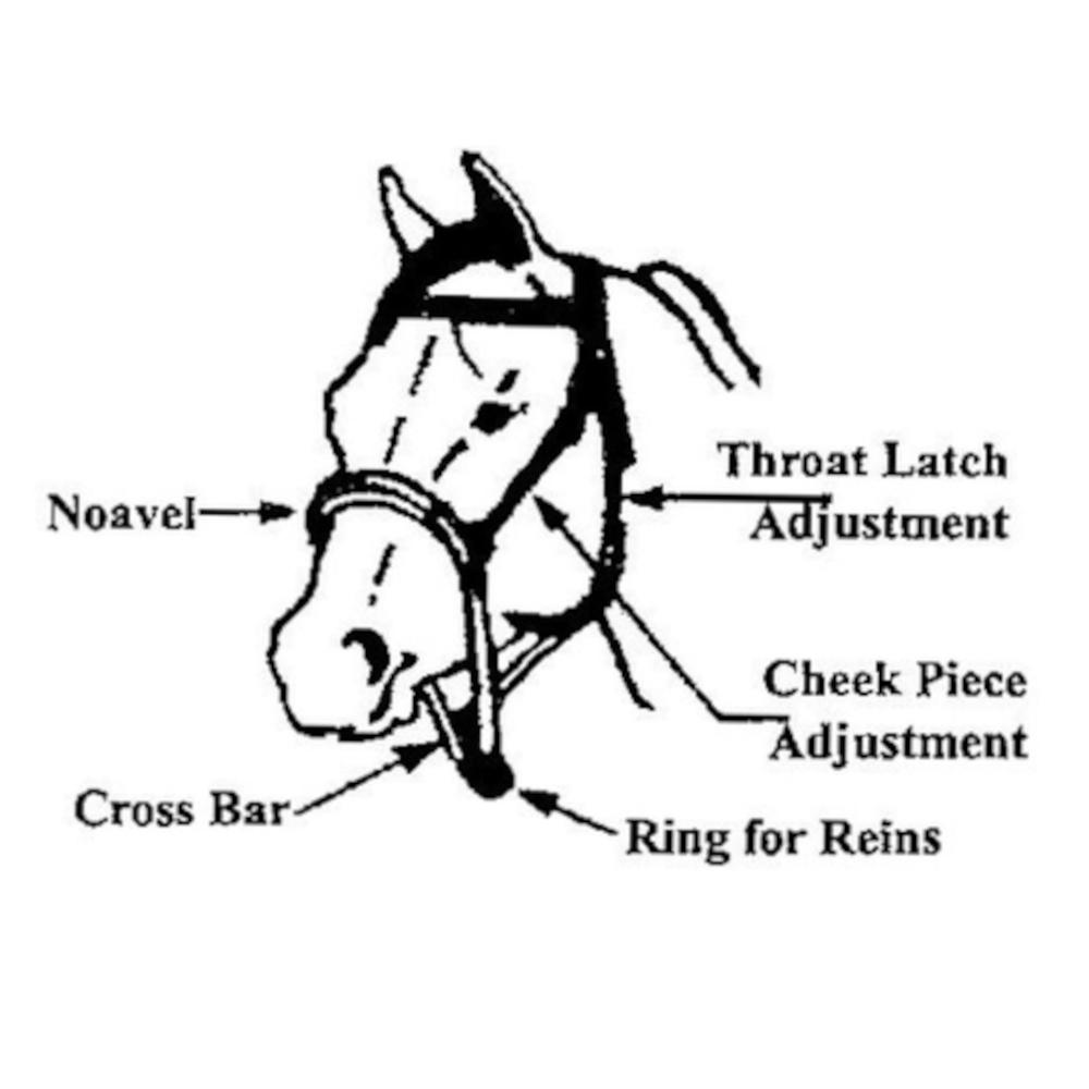 Noavel Headstall diagram showing throat latch adjustment, cheek piece adjustment, cross bar, and ring for reins