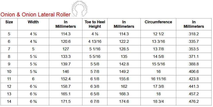 Onion Shoe Size Chart