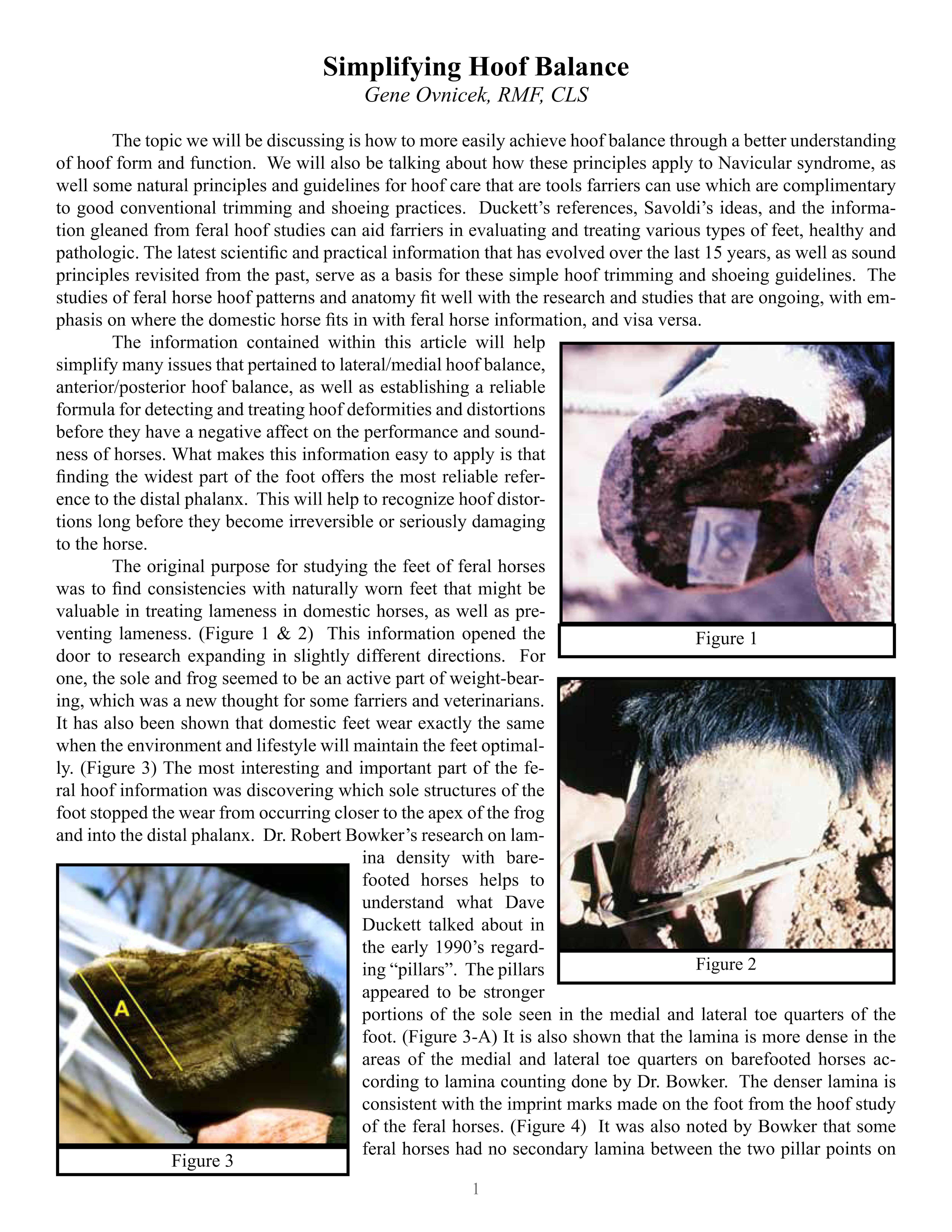 Simplifying Hoof Balance Page 1