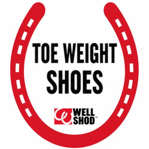 TOE WEIGHT SHOES